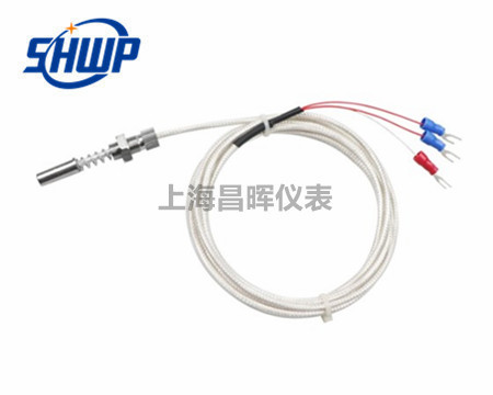 SHWP-FZP-DM201端面熱電阻