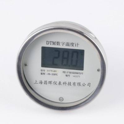 DTM-481數顯溫度計